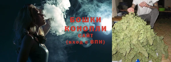 ГАЛЛЮЦИНОГЕННЫЕ ГРИБЫ Покровск