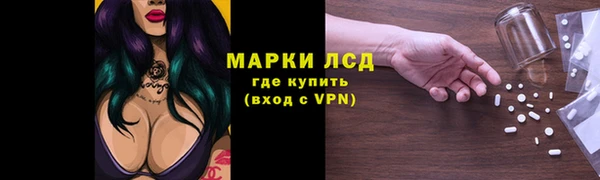 ГАЛЛЮЦИНОГЕННЫЕ ГРИБЫ Покровск