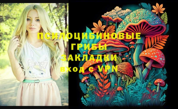 кристаллы Покачи