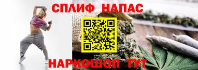 apvp Беслан