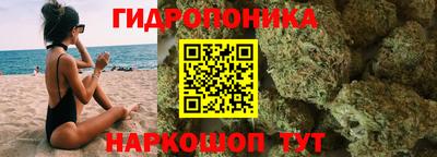 индика Берёзовский