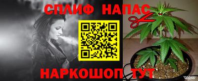 apvp Беслан