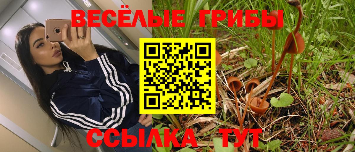 Псилоцибиновые грибы GOLDEN TEACHER Клинцы