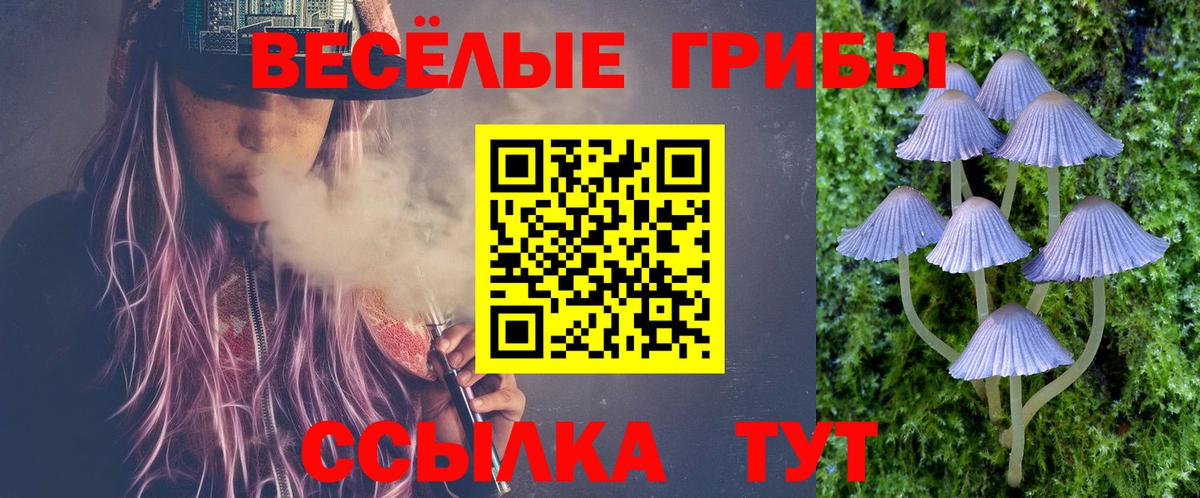 Клинцы  Псилоцибиновые грибы Cubensis  Вход с VPN 